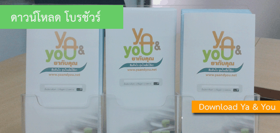 ดาวน์โหลด โบรชัวร์ ดาวน์โหลด โบรชัวร์